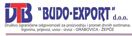 Budo